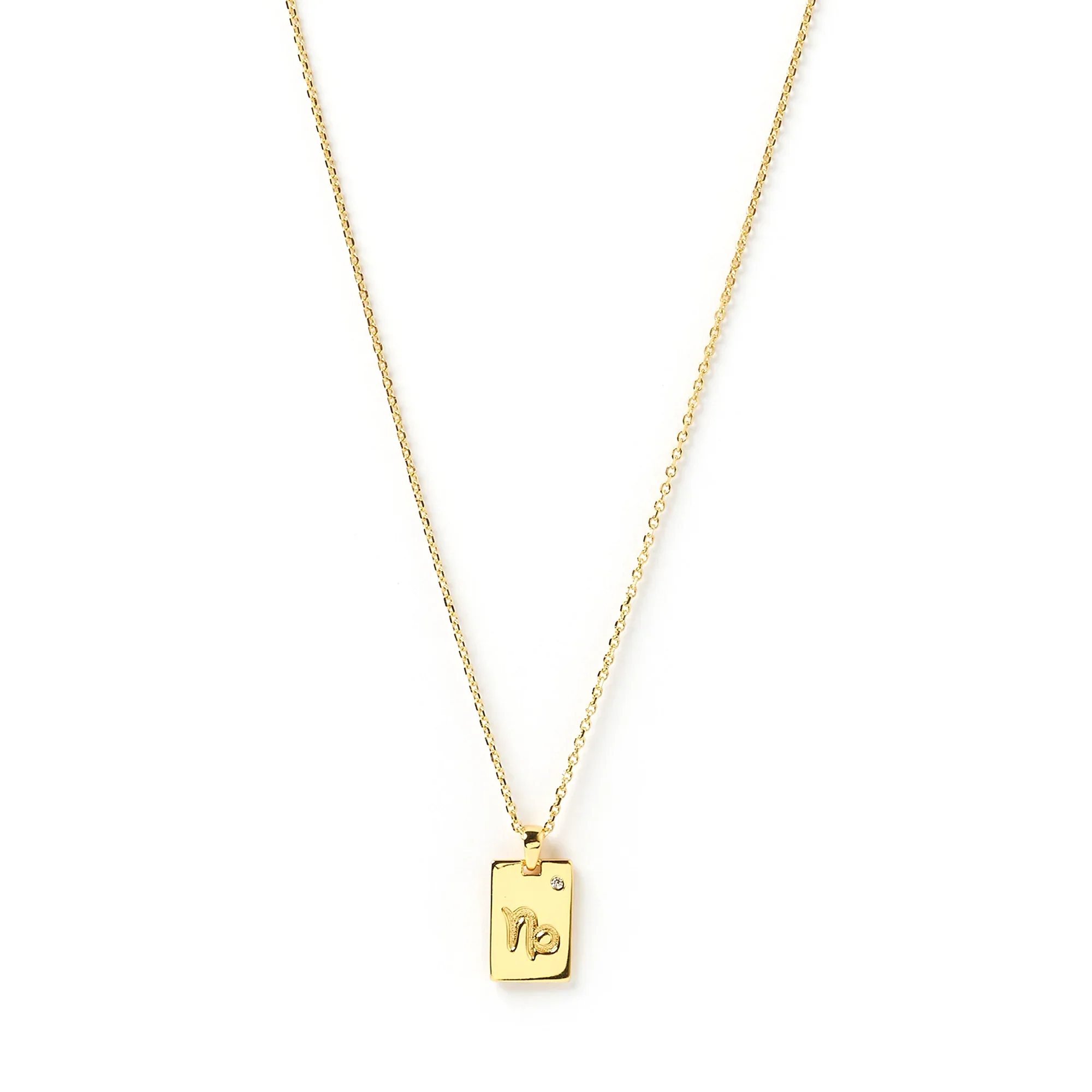ARMS OF EVE - Zodiac Gold Tag Necklace - Image 4