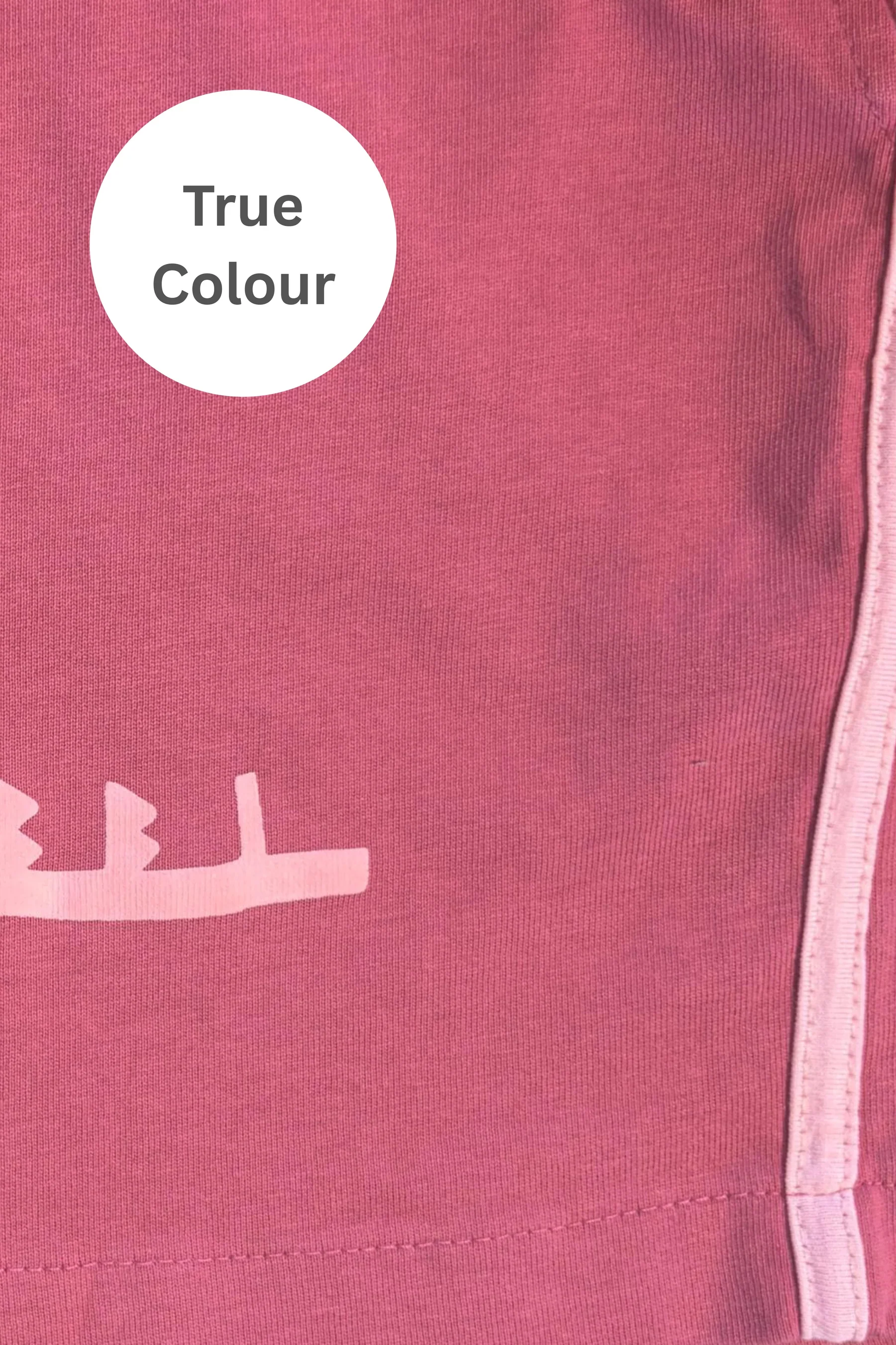 SABBI - THE MARGIE CHIDO PANT (PINK) - Image 5