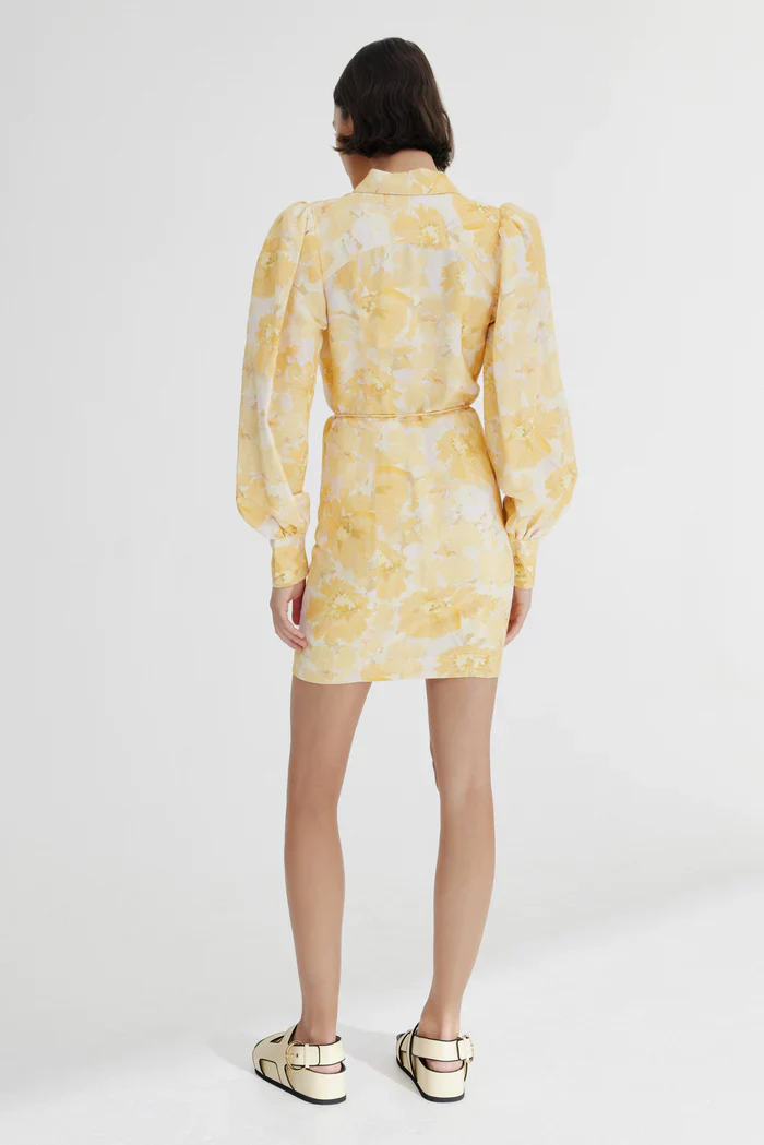SIGNIFICANT OTHER - MATILDA MINI DRESS (Gold Poppy Floral) - Image 2
