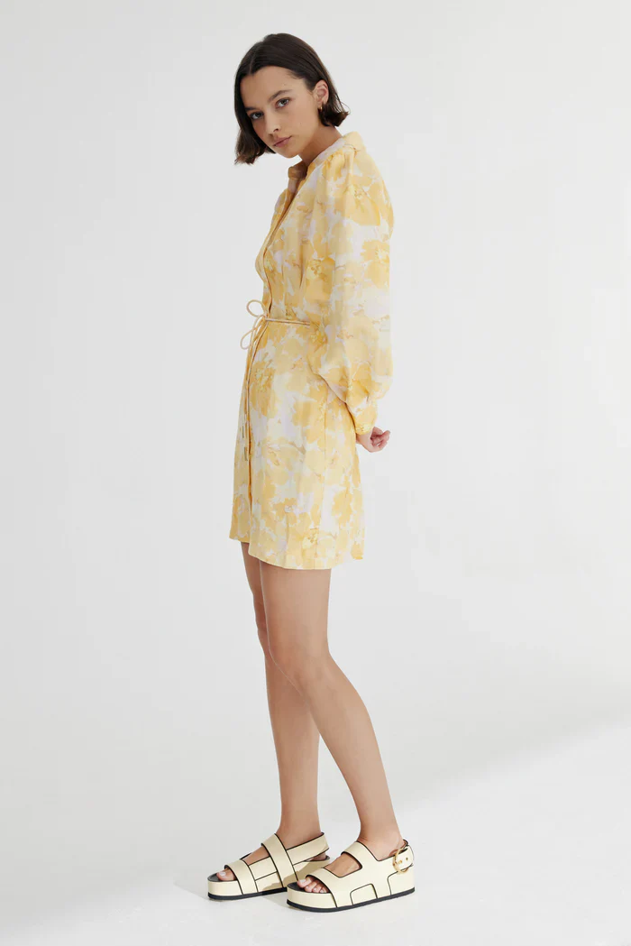 SIGNIFICANT OTHER - MATILDA MINI DRESS (Gold Poppy Floral) - Image 3